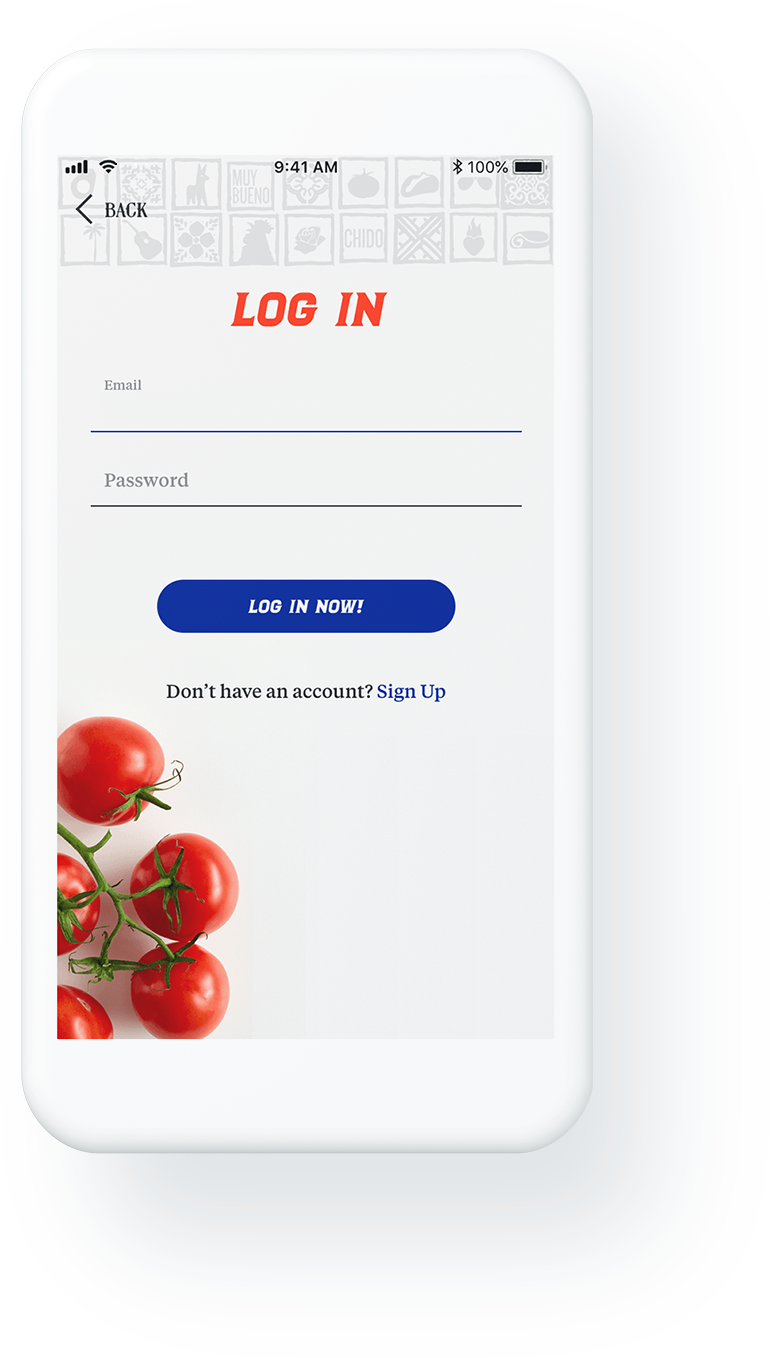 Loco Rewards Mobile application - Log In screen